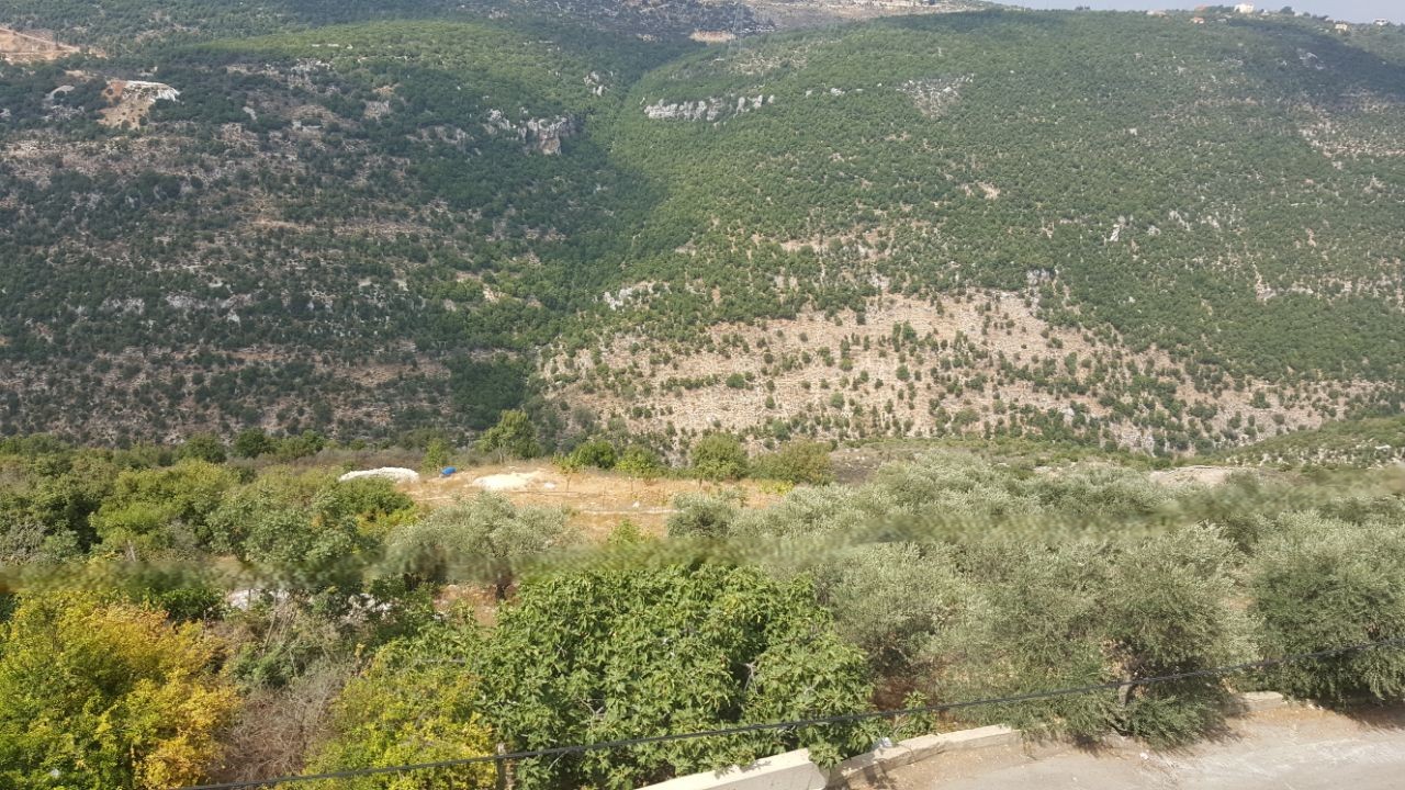 1,000 SQM Land with Bungalow For Sale in Zebdine, Jbeil District